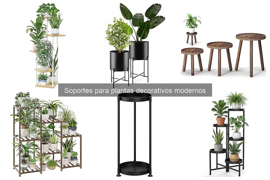 Precios de Soportes para Plantas Decorativos Modernos