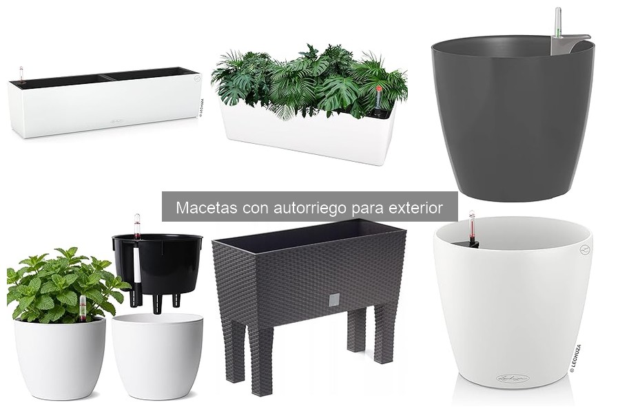 Precios promedio de macetas con autorriego para exterior