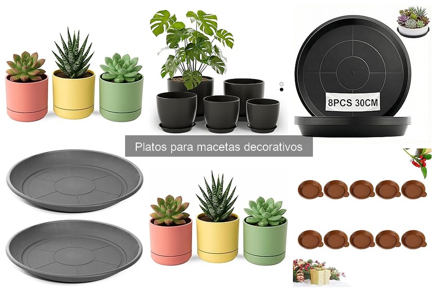 Precios Promedio de Platos Decorativos para Macetas