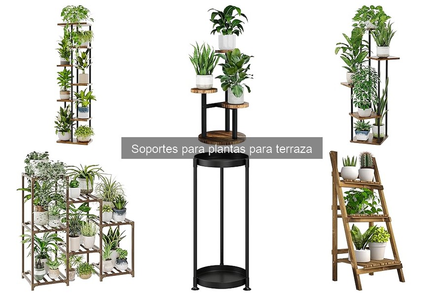 Precios Promedio de Soportes para Plantas en el Mercado