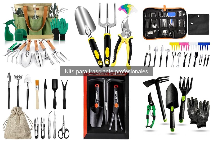 Precios y dónde comprar kits de trasplante profesionales