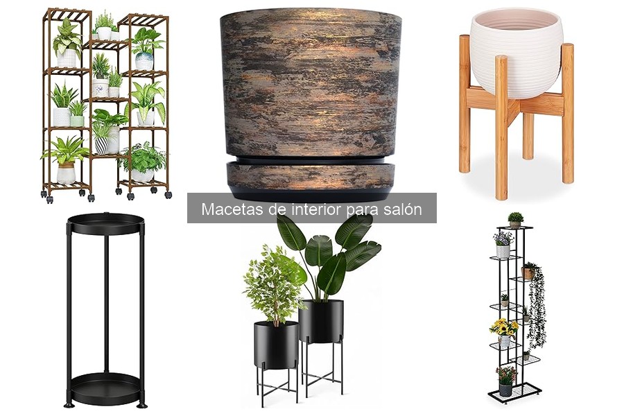 Precios y dónde comprar macetas de interior para salón