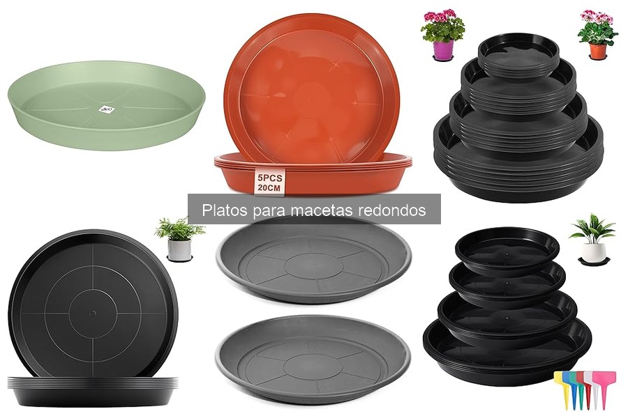 Precios y Dónde Comprar Platos para Macetas Redondos