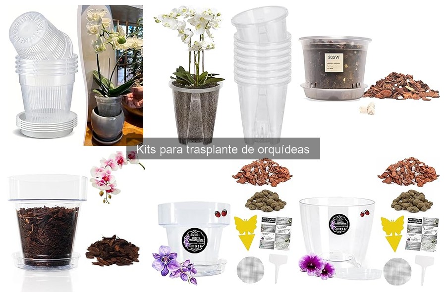 Preguntas Frecuentes sobre Kits de Trasplante de Orquídeas