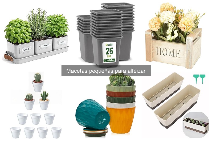 Preguntas Frecuentes sobre Macetas Pequeñas en Alféizares