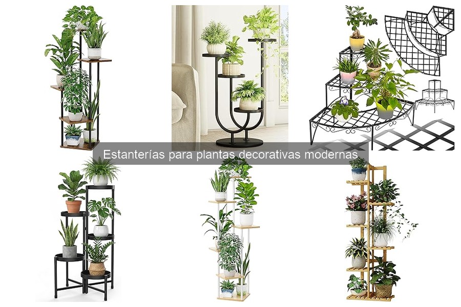 Problemas comunes al usar estanterías para plantas decorativas