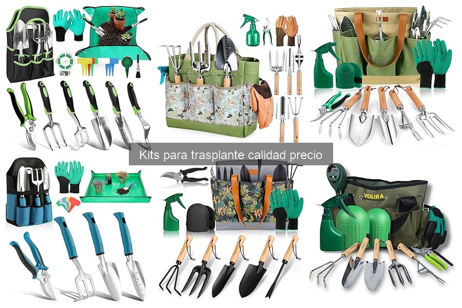 Problemas comunes al usar kits de trasplante y soluciones