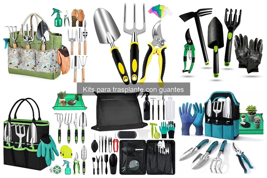 ** Problemas comunes al usar kits para trasplante con guantes