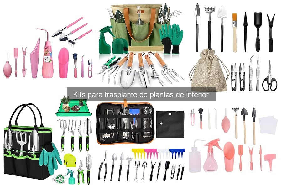Problemas comunes al usar kits para trasplante de plantas