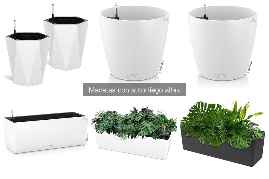Problemas comunes al usar macetas con autorriego altas