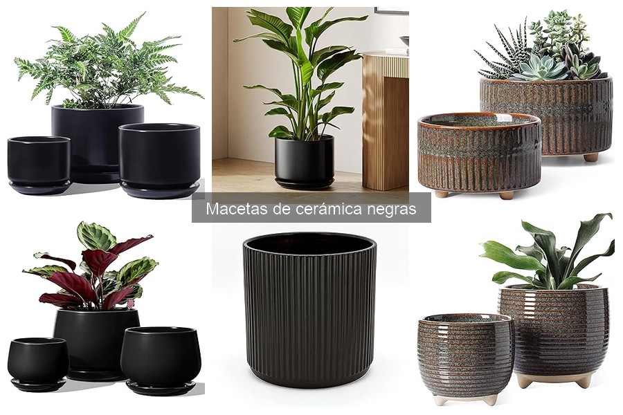 Problemas Comunes al Usar Macetas de Cerámica Negras