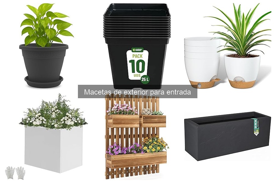 Problemas comunes al usar macetas de exterior en entradas