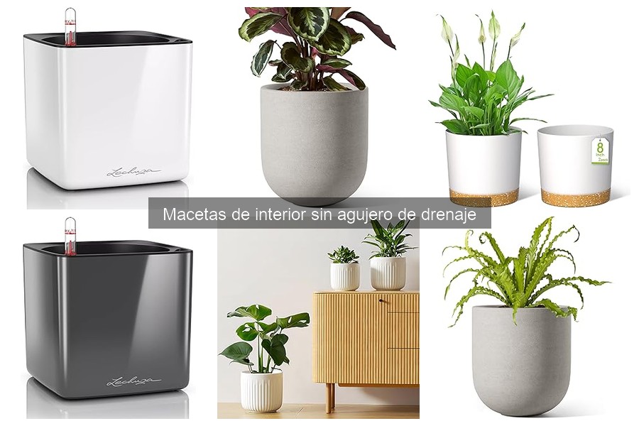 Problemas comunes al usar macetas de interior sin drenaje