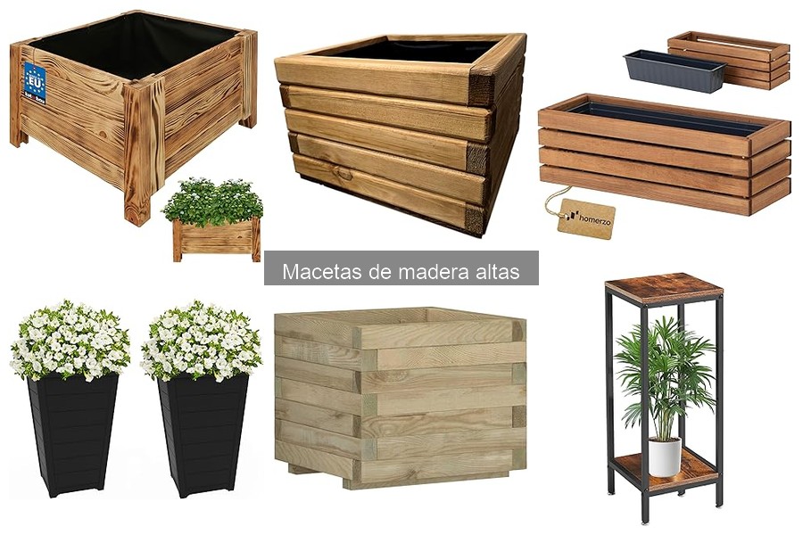 Problemas Comunes al Usar Macetas de Madera Altas