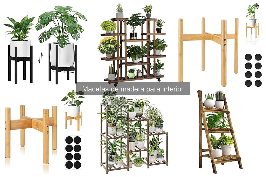 Problemas comunes al usar macetas de madera en interiores