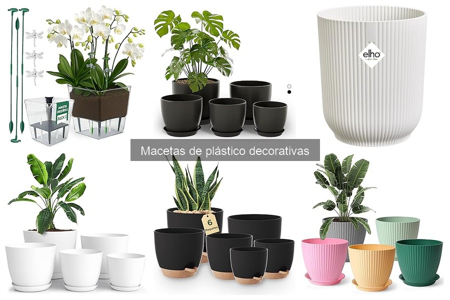 Problemas comunes al usar macetas de plástico decorativas