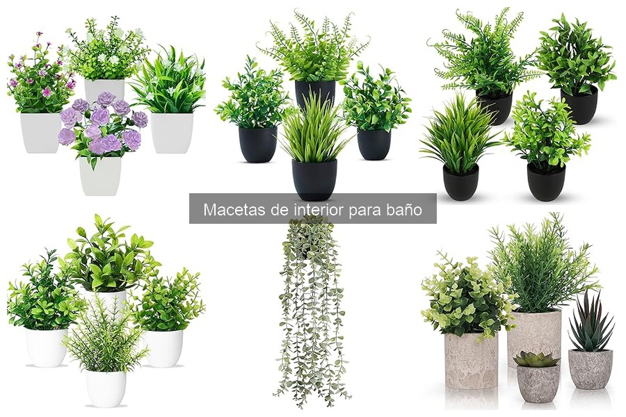 Problemas Comunes al Usar Macetas en el Baño