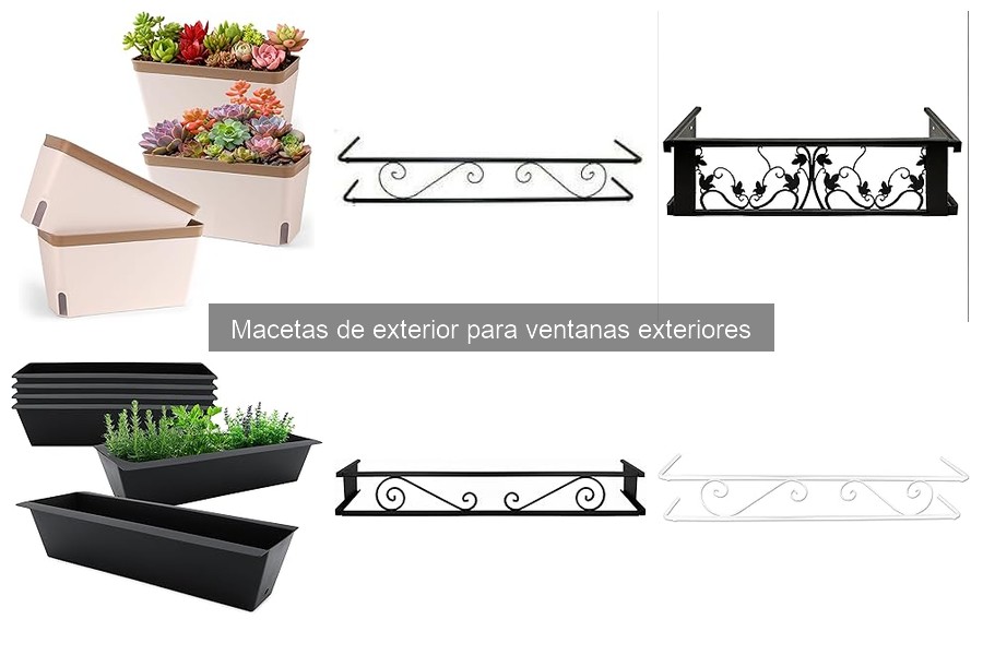 Problemas comunes al usar macetas en ventanas exteriores