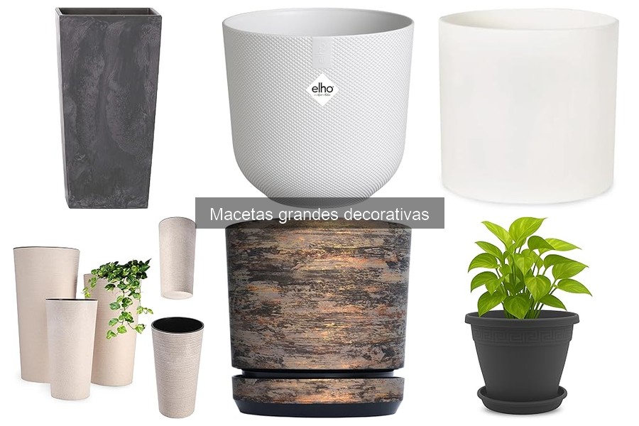 Problemas comunes al usar macetas grandes decorativas