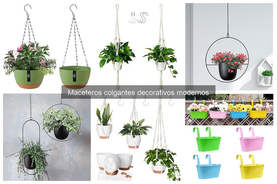 Problemas Comunes al Usar Maceteros Colgantes Decorativos