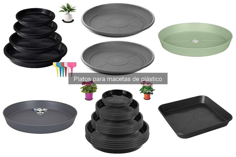 Problemas comunes al usar platos para macetas de plástico