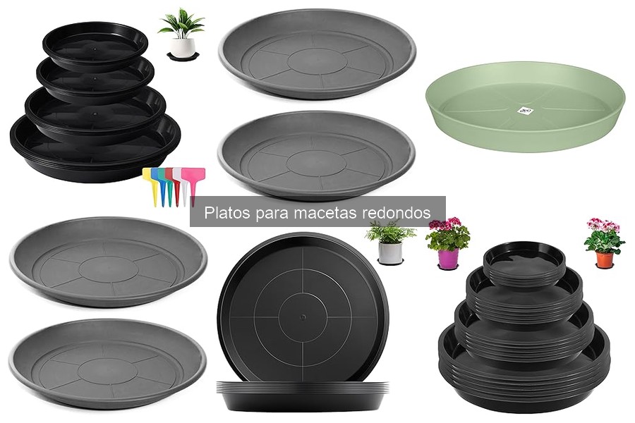 Problemas comunes al usar platos para macetas redondos