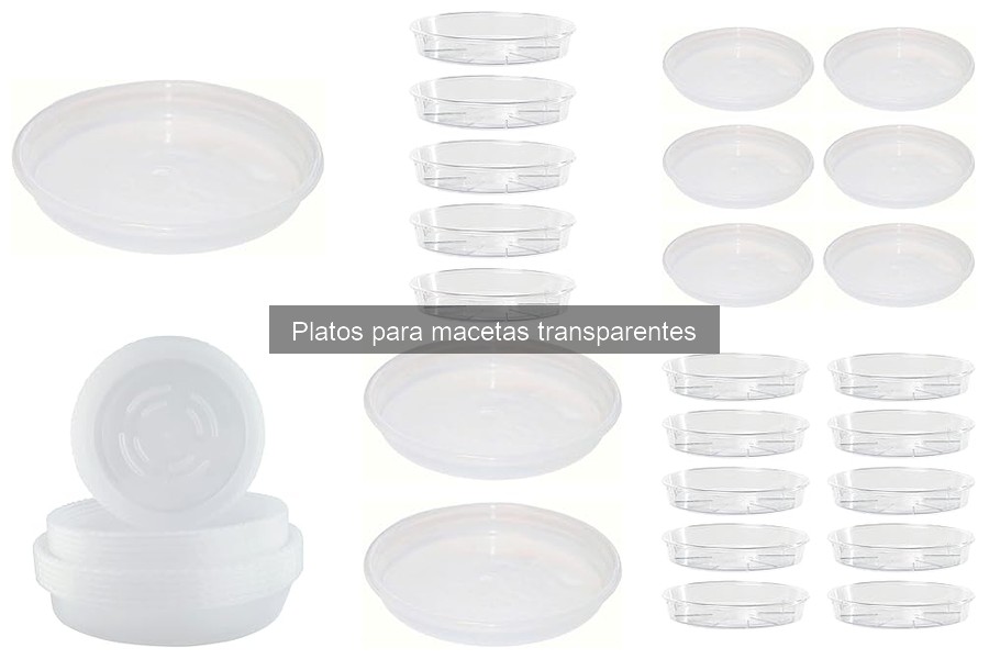 Problemas comunes al usar platos transparentes para macetas