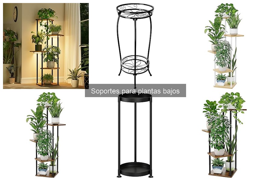 Problemas Comunes al Usar Soportes para Plantas Bajos