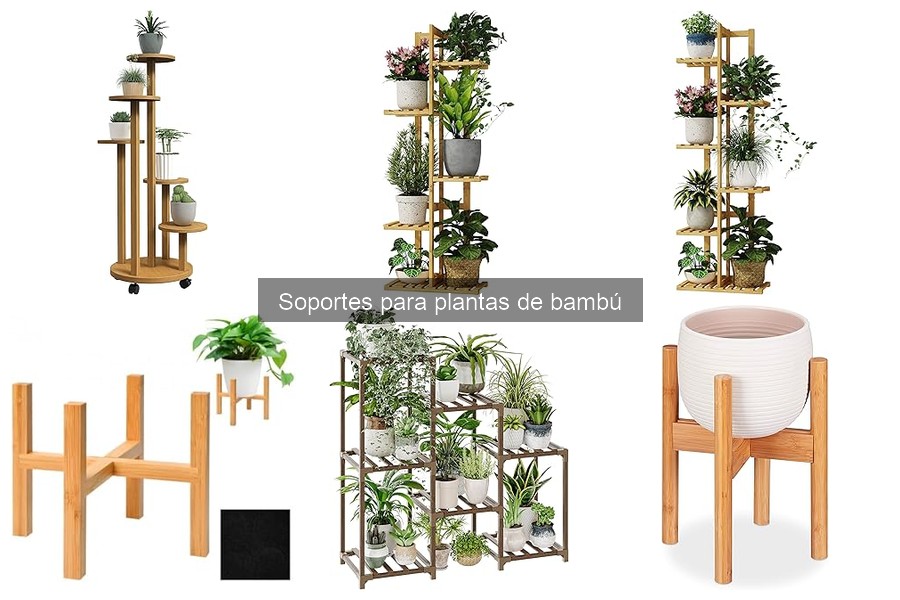 Problemas Comunes al Usar Soportes para Plantas de Bambú