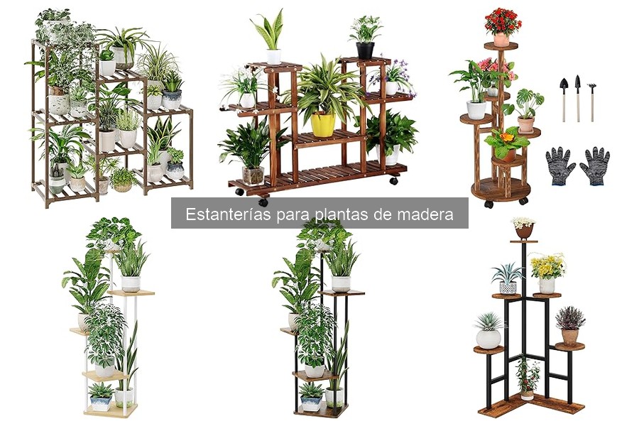 Problemas comunes con estanterías de madera para plantas