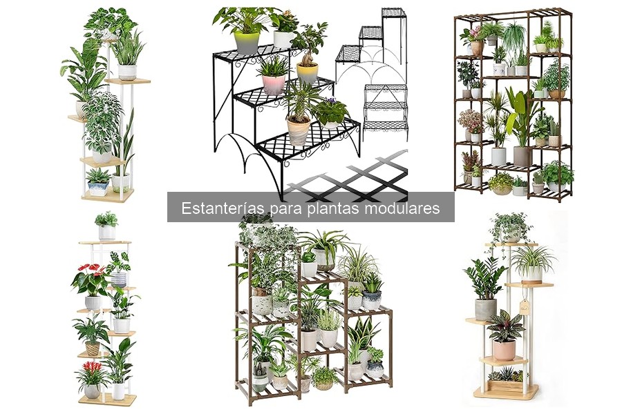Problemas comunes con estanterías modulares para plantas