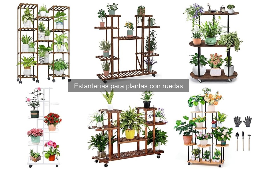 Problemas comunes con estanterías para plantas con ruedas