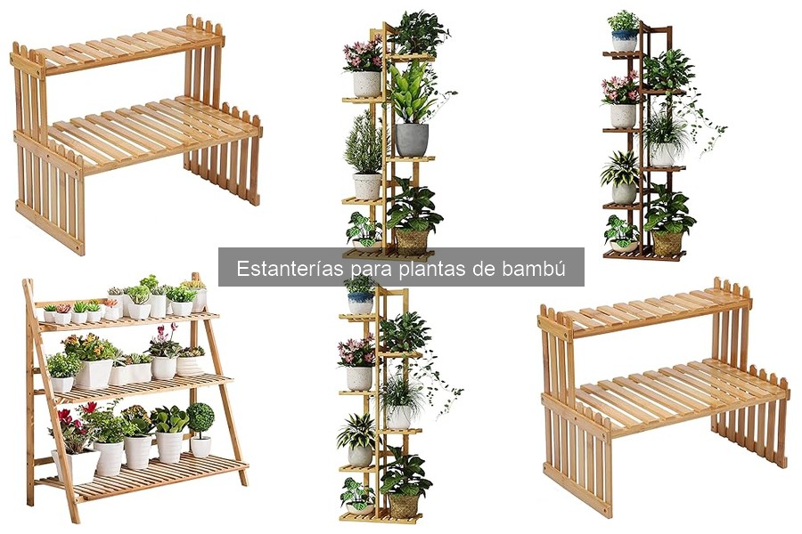 Problemas comunes con estanterías para plantas de bambú y soluciones