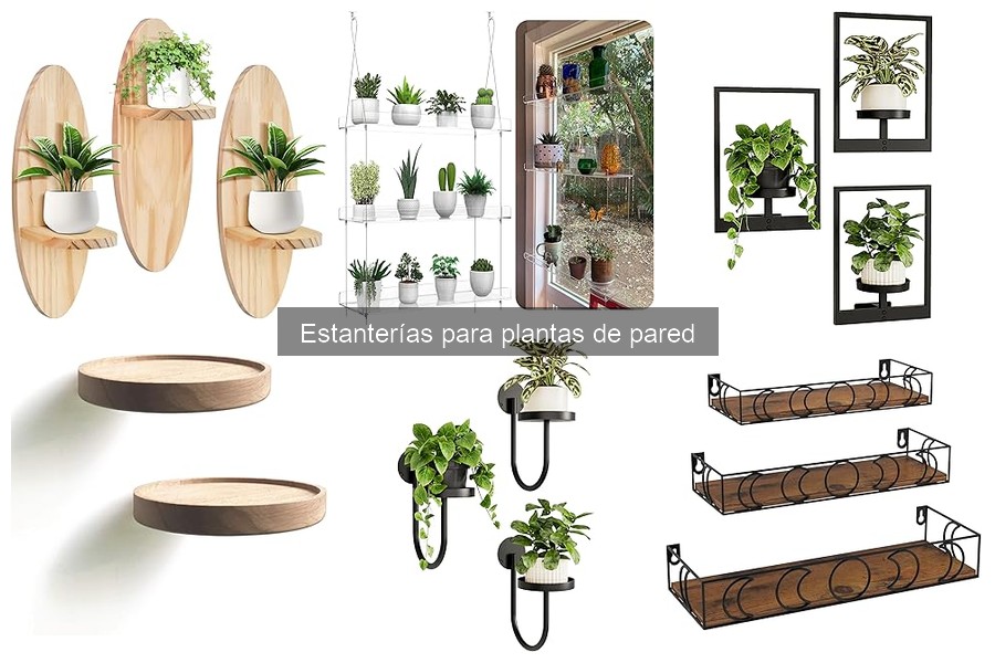Problemas comunes con estanterías para plantas de pared