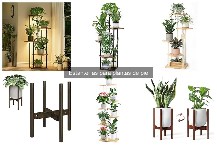 Problemas comunes con estanterías para plantas de pie