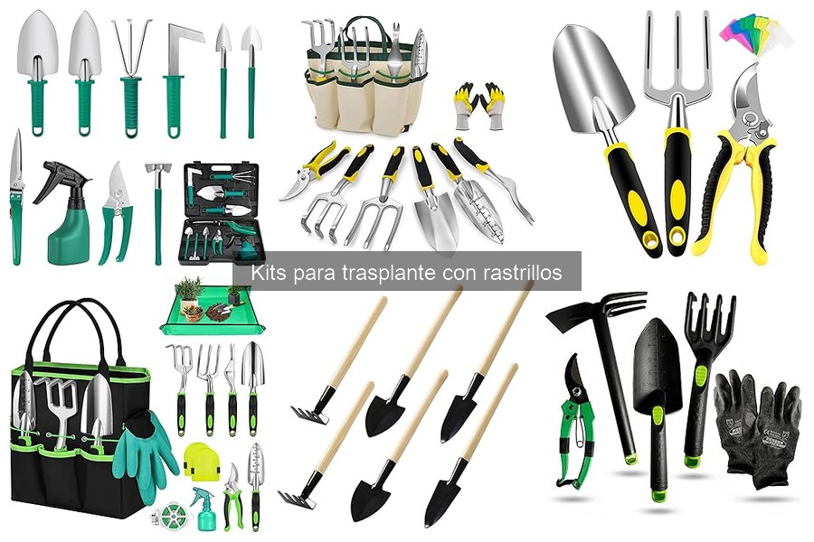 Problemas comunes con kits de trasplante y soluciones efectivas