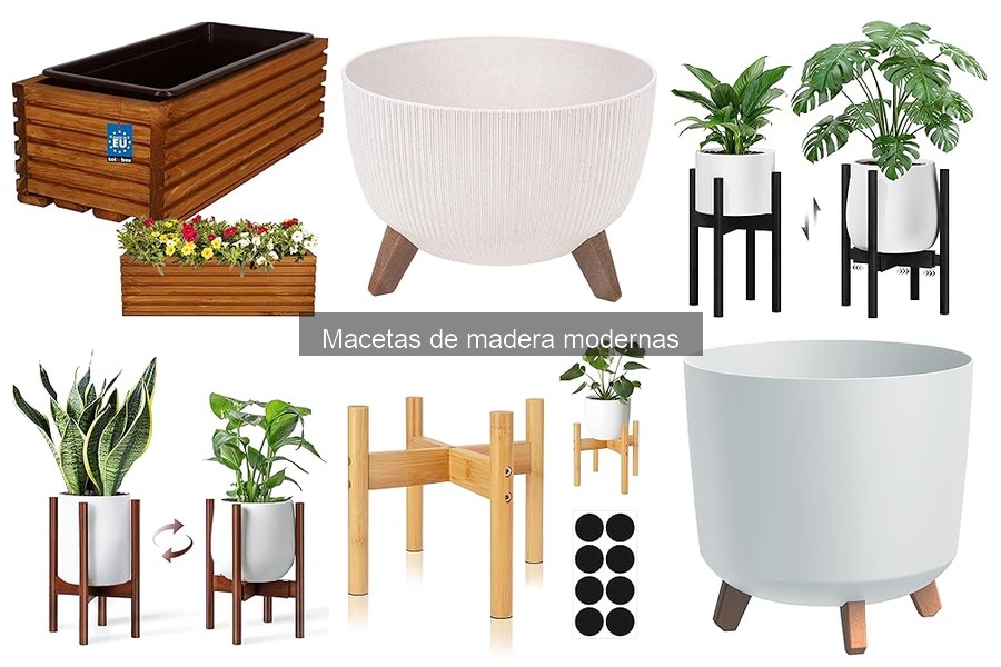 Problemas comunes con las macetas de madera modernas
