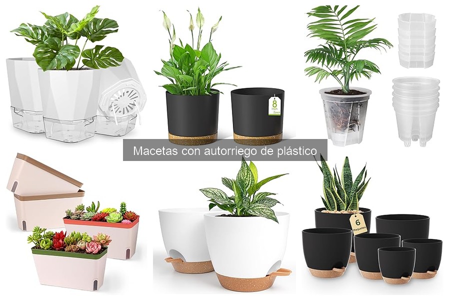 Problemas comunes con macetas autorriego de plástico
