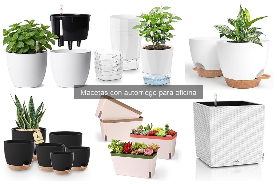 Problemas comunes con macetas con autorriego y soluciones