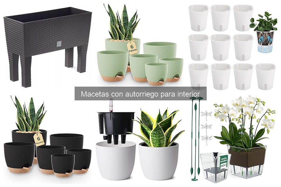 Problemas Comunes con Macetas de Autorriego en Interior