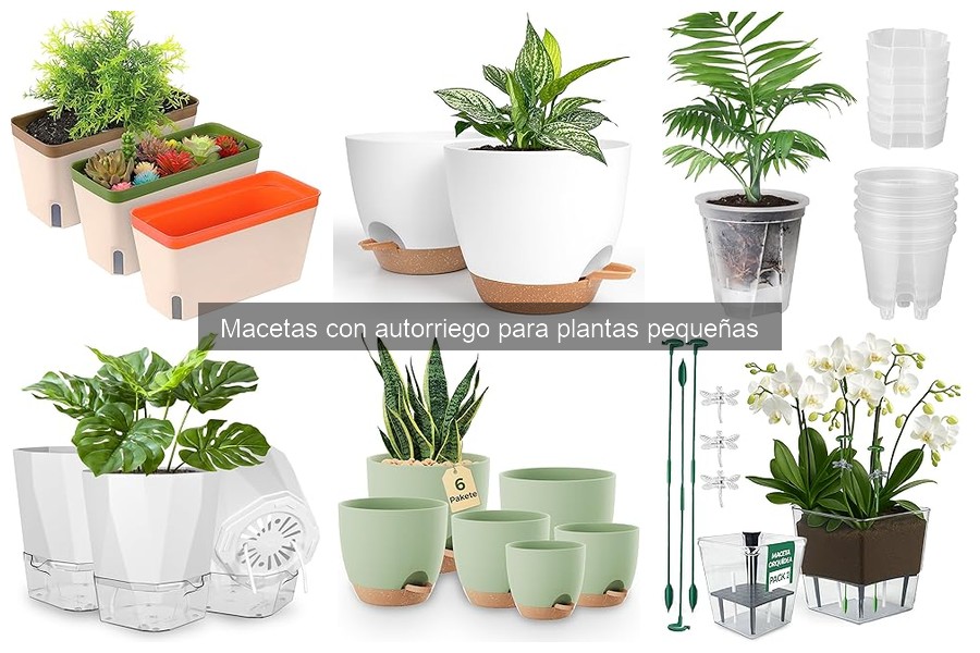 Problemas comunes con macetas de autorriego para plantas