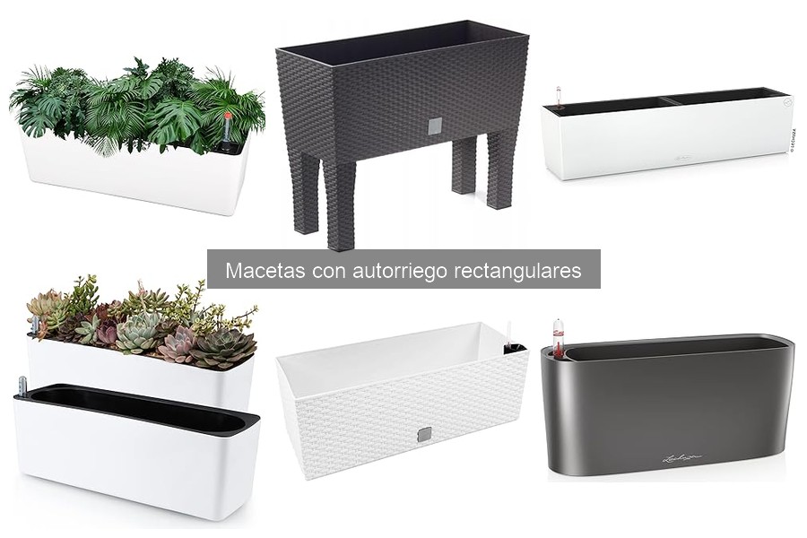 Problemas comunes con macetas de autorriego rectangular