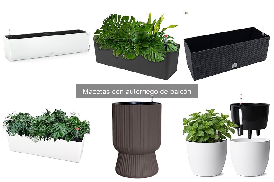 Problemas Comunes con Macetas de Autorriego y Soluciones