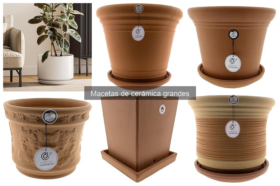 Problemas comunes con macetas de cerámica grandes y soluciones