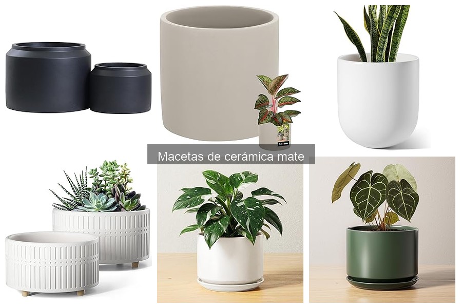 Problemas Comunes con Macetas de Cerámica Mate y Soluciones