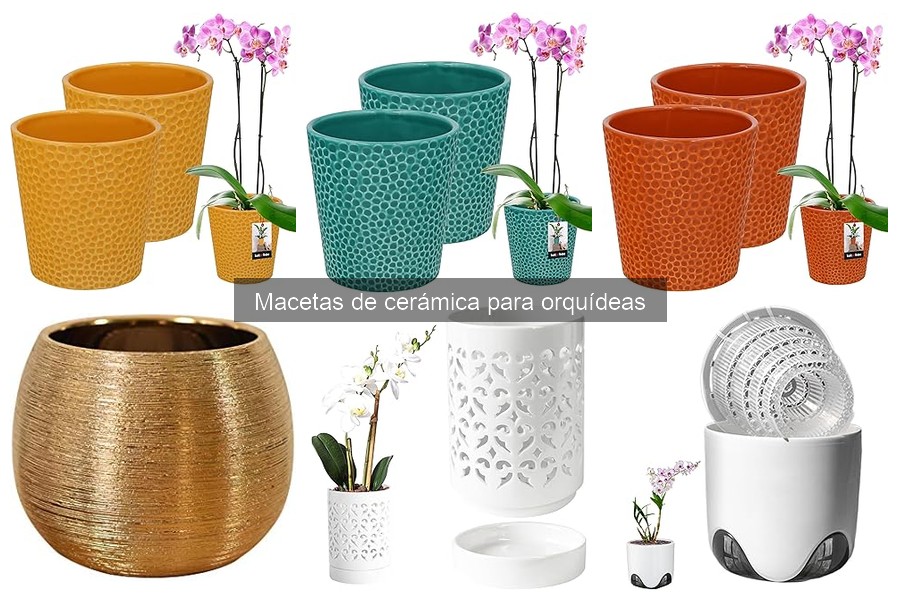 Problemas comunes con macetas de cerámica para orquídeas