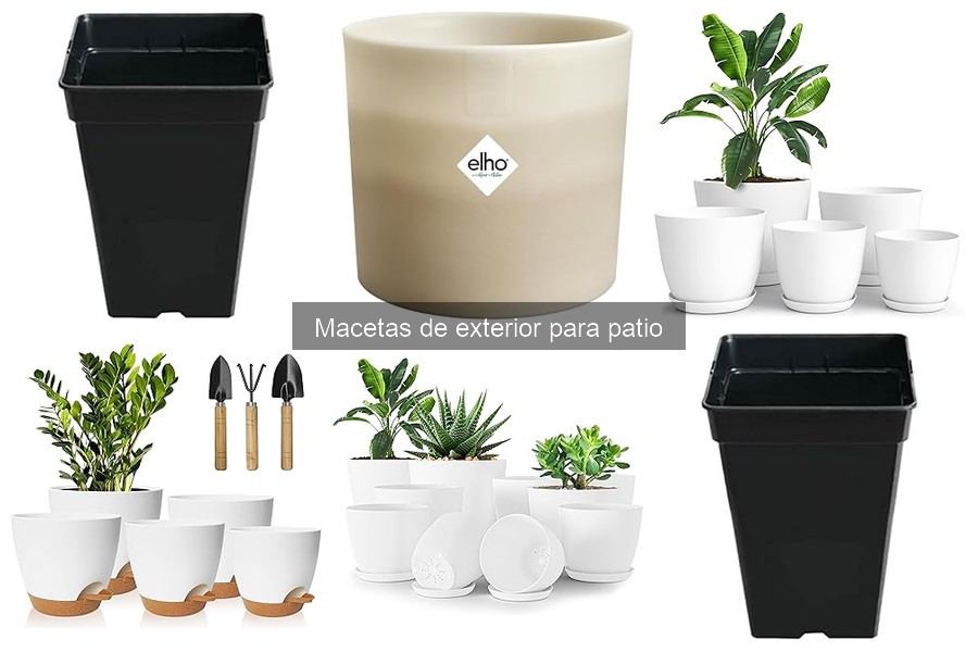 Problemas comunes con macetas de exterior y soluciones