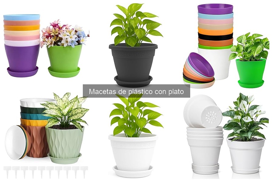 Problemas comunes con macetas de plástico con plato