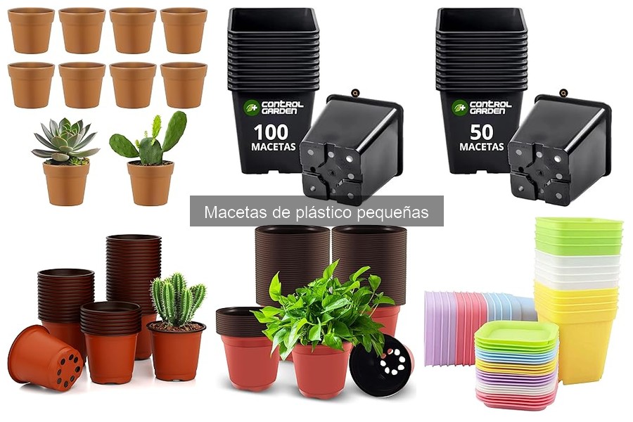 Problemas comunes con macetas de plástico pequeñas