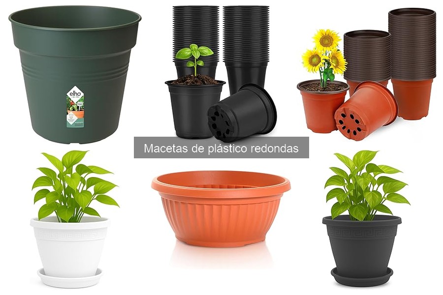 Problemas Comunes con Macetas de Plástico Redondas y Soluciones